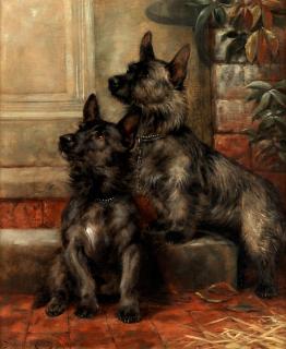 Fannie Moody - Scotties