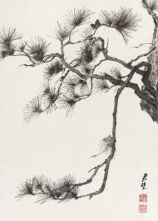 Fantchunpi - Ink Pine