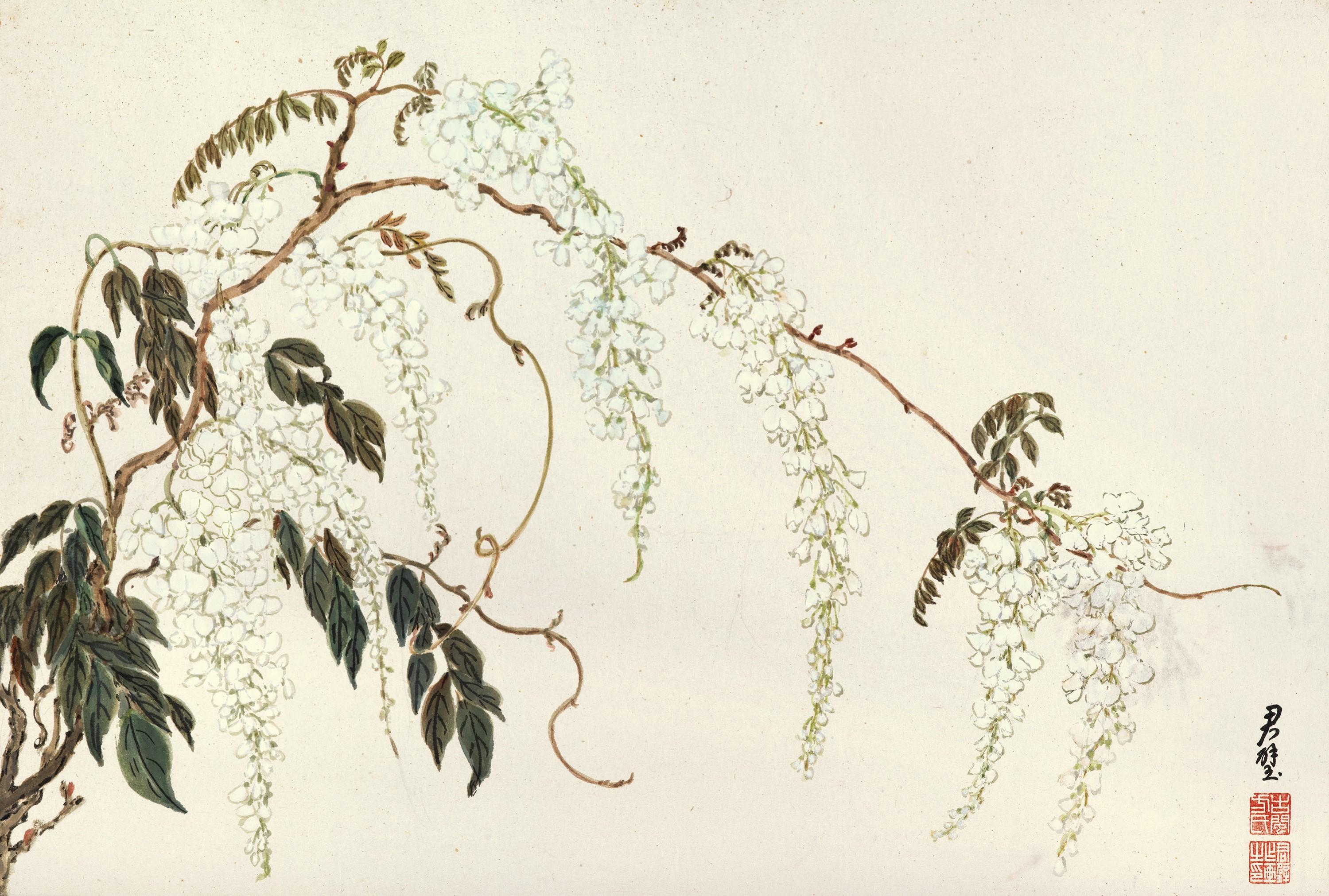 Fantchunpi - White Vine Flowers