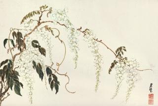 Fantchunpi - White Vine Flowers