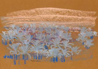 Farghali Abdel Hafiz - Blue Palms