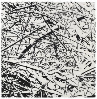 Farhad Moshiri - First Snow 3C