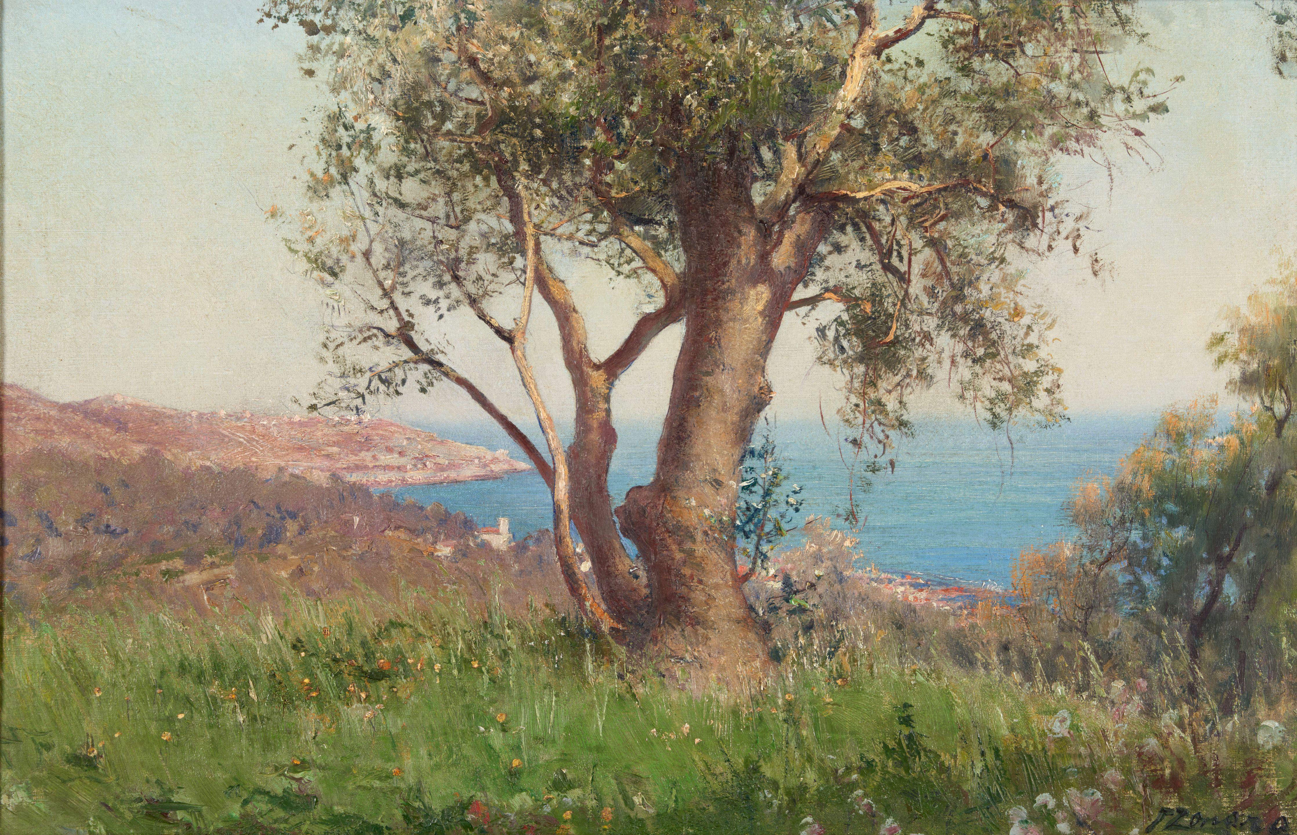 Fausto Zonaro - Olivi sulle alture di San Remo