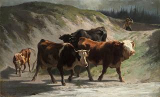 Federico Ashton - Mucche al pascolo