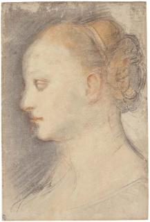 Federico Barocci - Tête de la Vierge, de profil à gauche