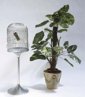 Federico Guzmán - Pepi