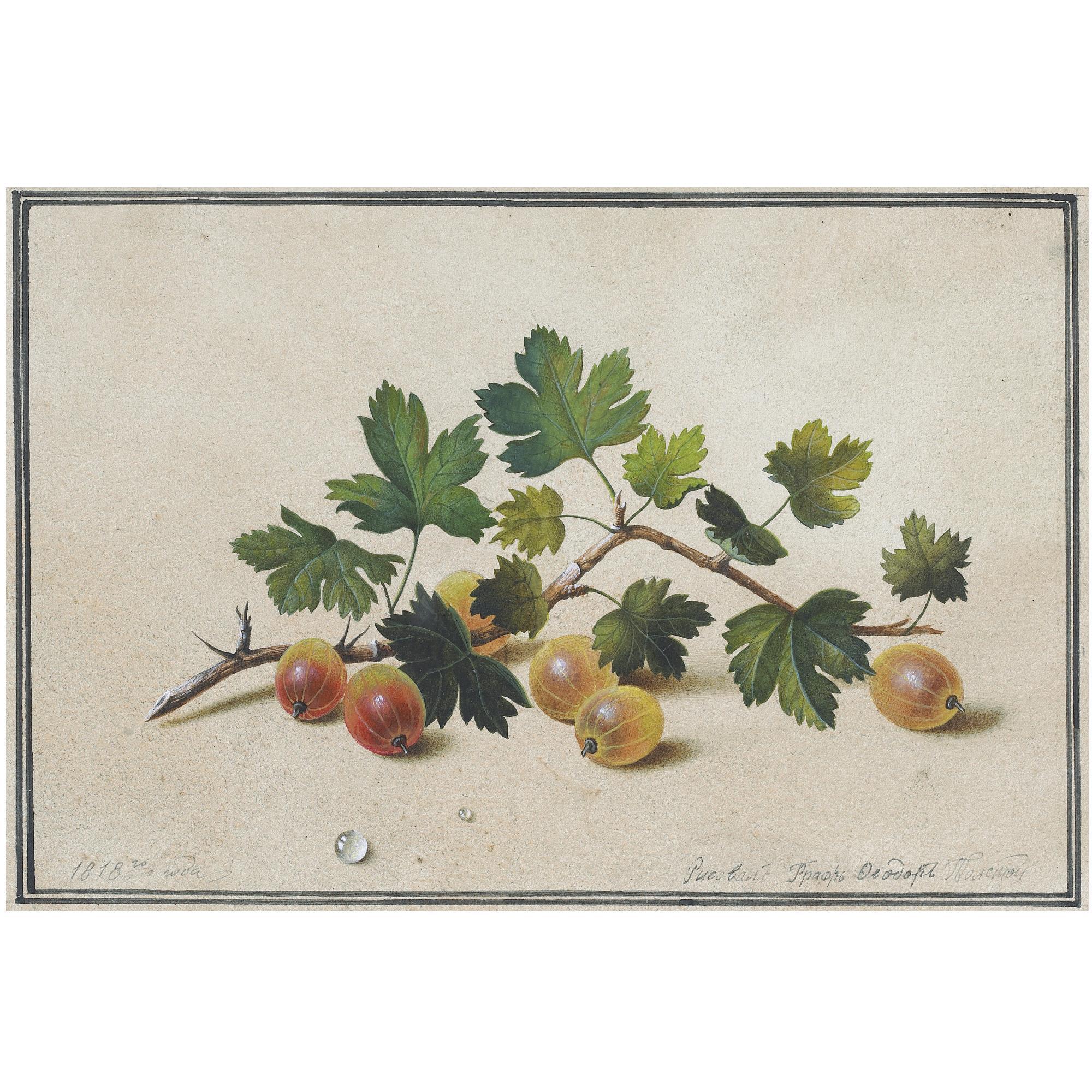 Fedor Petrovich Tolstoy - Gooseberries