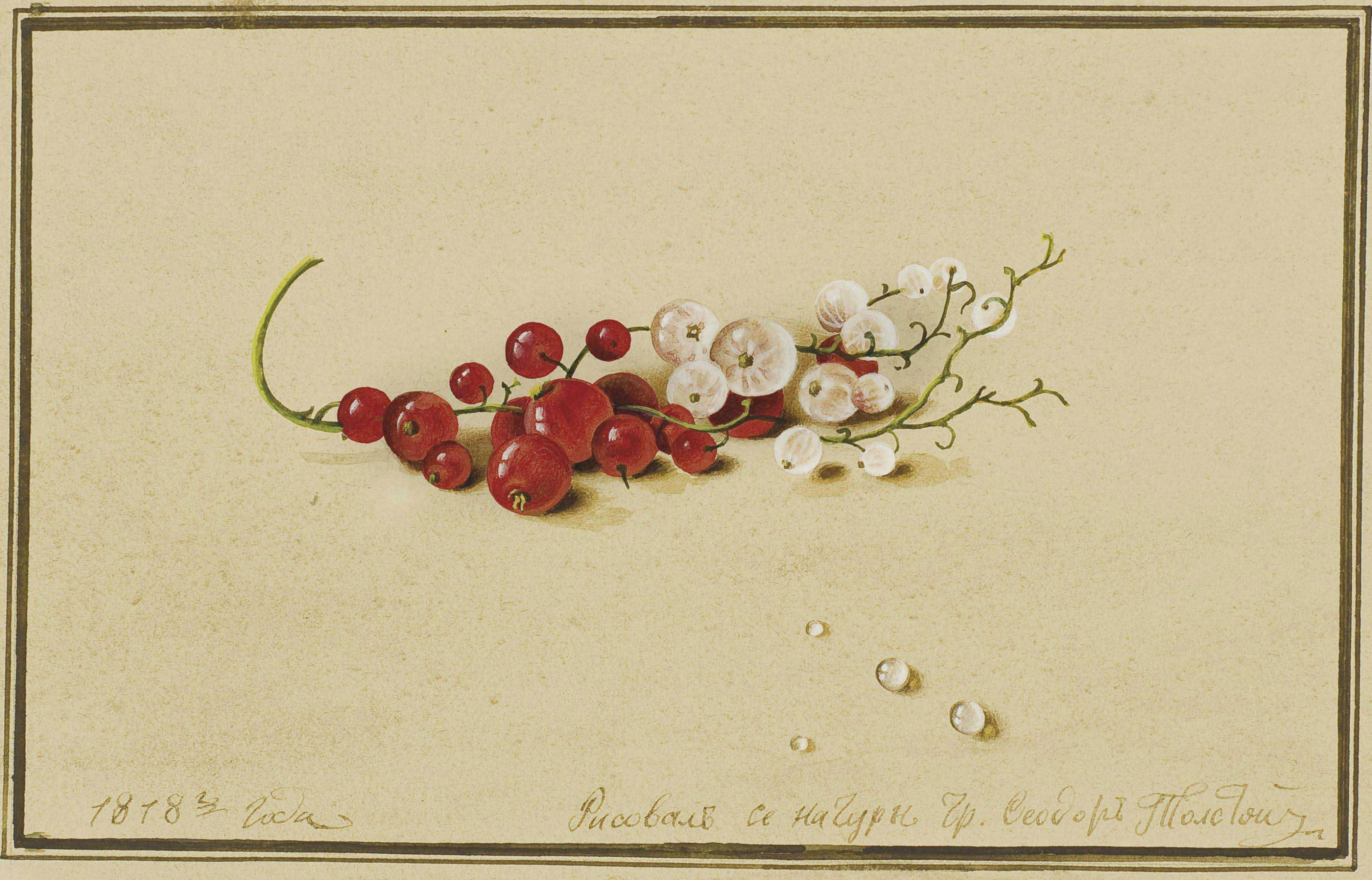 Fedor Tolstoi - Red And White Currants
