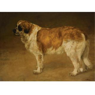 Fedor van Kregten - A Saint Bernard\'S Dog