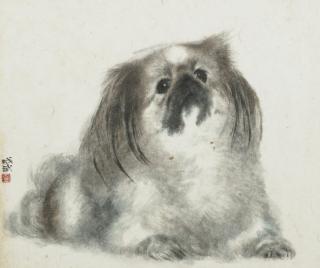 Fei Chengwu - My Pekingese 吉兒 Jill
