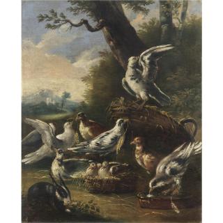 Felice Boselli - La Piccionaia