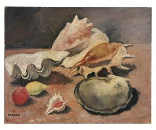 Felice Carena - Natura morta con conchiglie