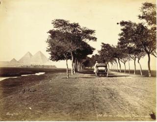 Félix Bonfils - Caire, Avenue des Pyramides, 1870s
