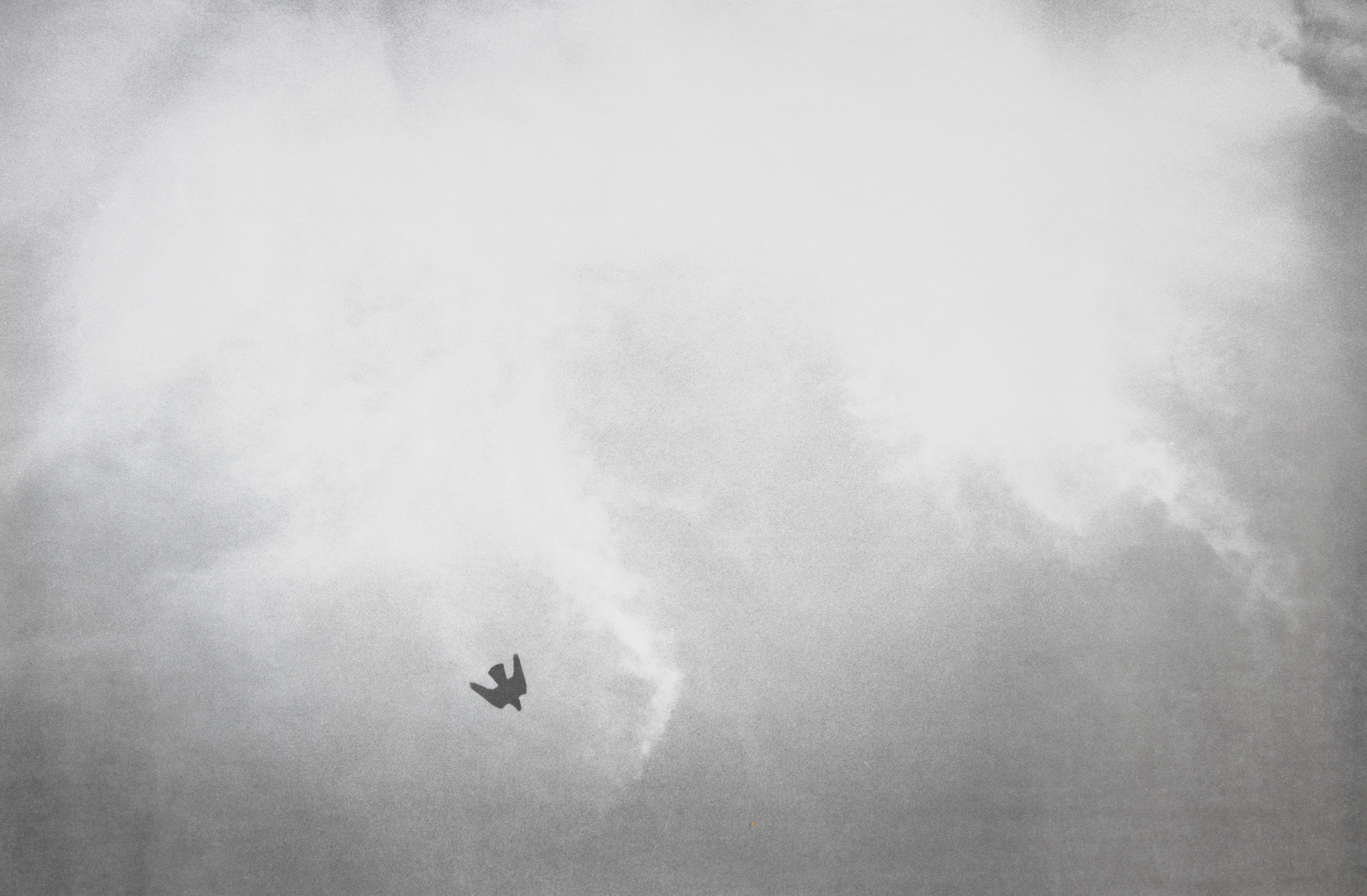 Félix González-Torres - Stack Prints