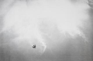 Félix González-Torres - Stack Prints