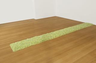 Felix Gonzalez-Torres - \