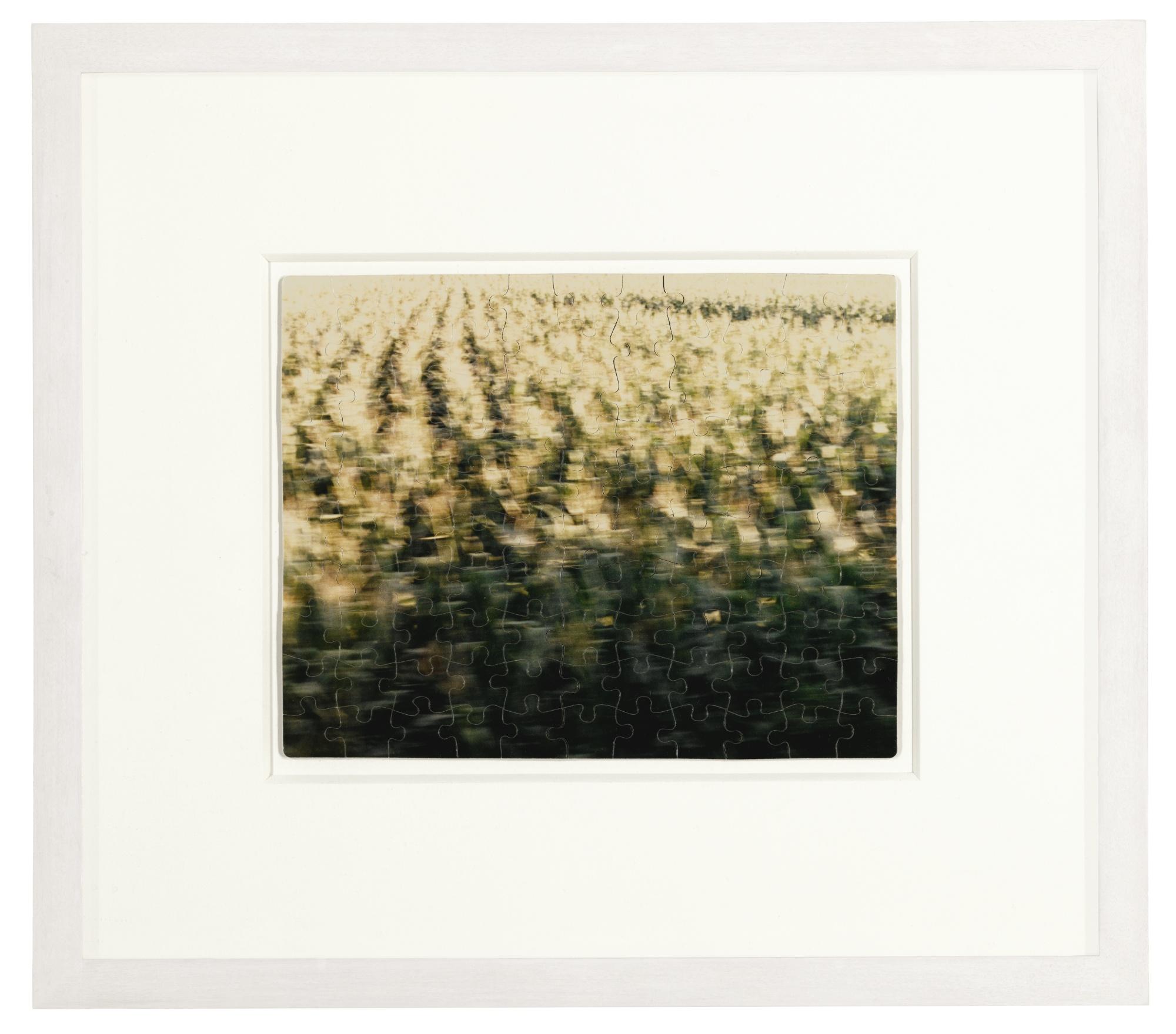 Felix Gonzalez-Torres - \