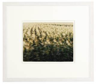 Felix Gonzalez-Torres - \