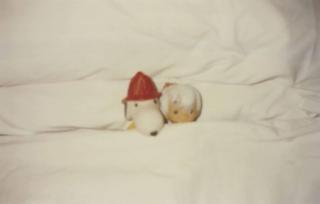 Felix Gonzalez-Torres - \