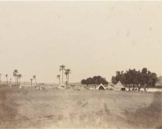 Felix Teynard - General View of Sycamores And Encampment of A Caravan Bound For Sennar. Korosko., 1851-52