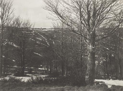 Félix Thiollier - Trees And Landscape At \'Le Bessat\' (Near Saint-Étienne), 1880-1890