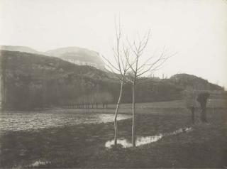 Félix Thiollier - Two Trees In A Landscape At Crémieu In Dauphiné (Near Lyon), 1880- 1890