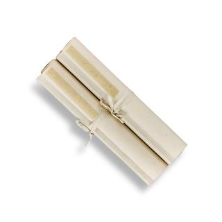 Feng Kanghou - Calligraphy Couplet in Zhuanshu