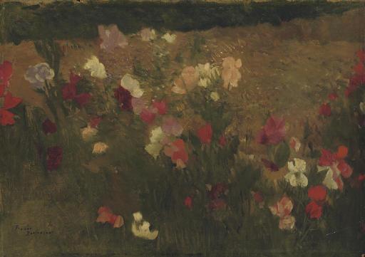 Feodor Ivanovich Zakharov - A field of sweetpea