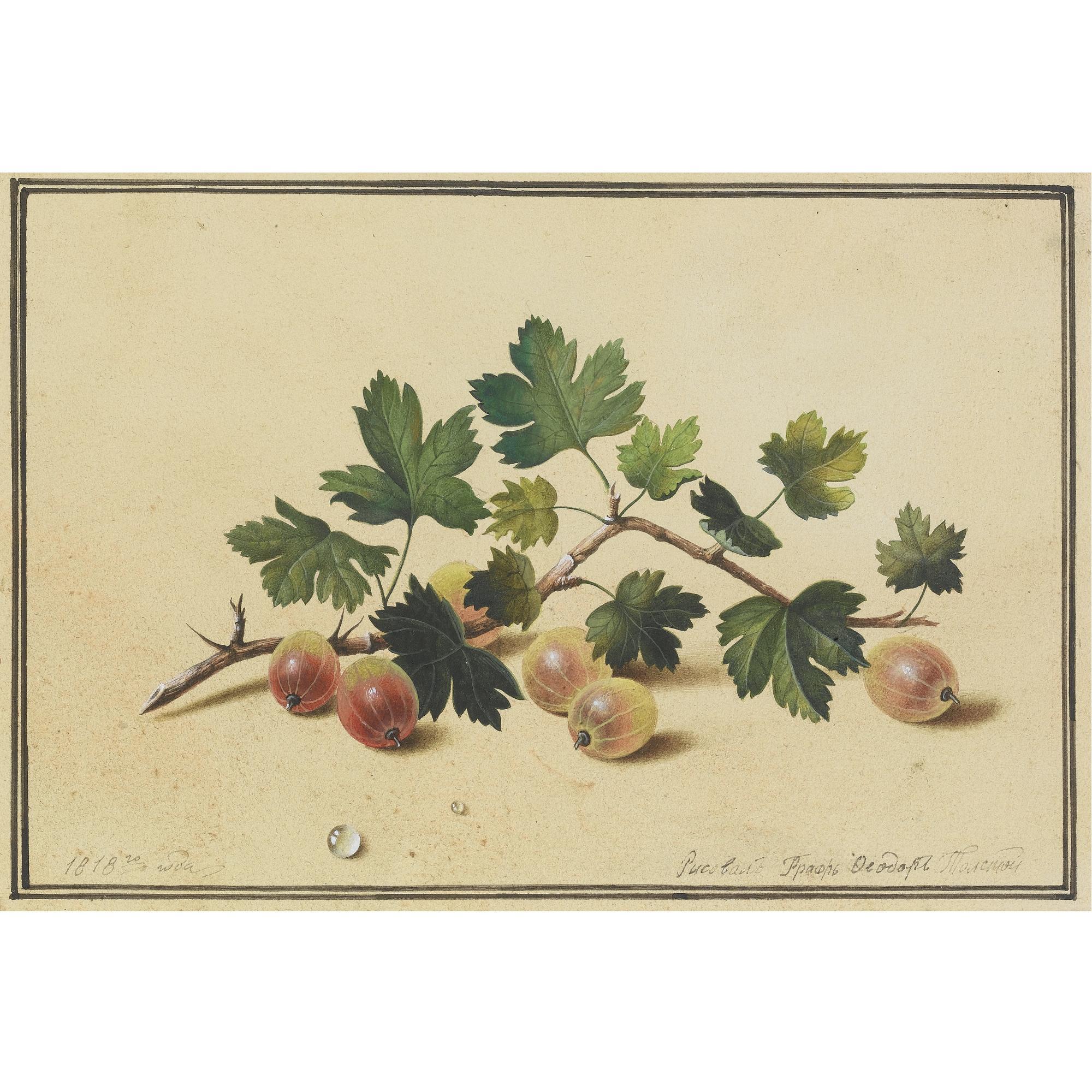 Feodor Petrovich Tolstoy - Countrussian Goosberrries, 1818