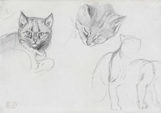 Ferdinand-Eugène-Victor Delacroix - Two Studies Of A Cat\'S Head, With Subsidiary Sketches Of A Seated Cat