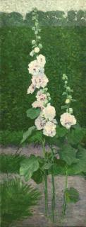 Ferdinand Hart Nibbrig - A White Holly Hock