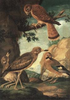 Ferdinand-Philipp de Hamilton - A chuff, hawk, sparrow and kestrel in a landscape