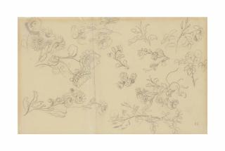 Ferdinand-Victor-Eugène Delacroix - Studies of roses and other flowers