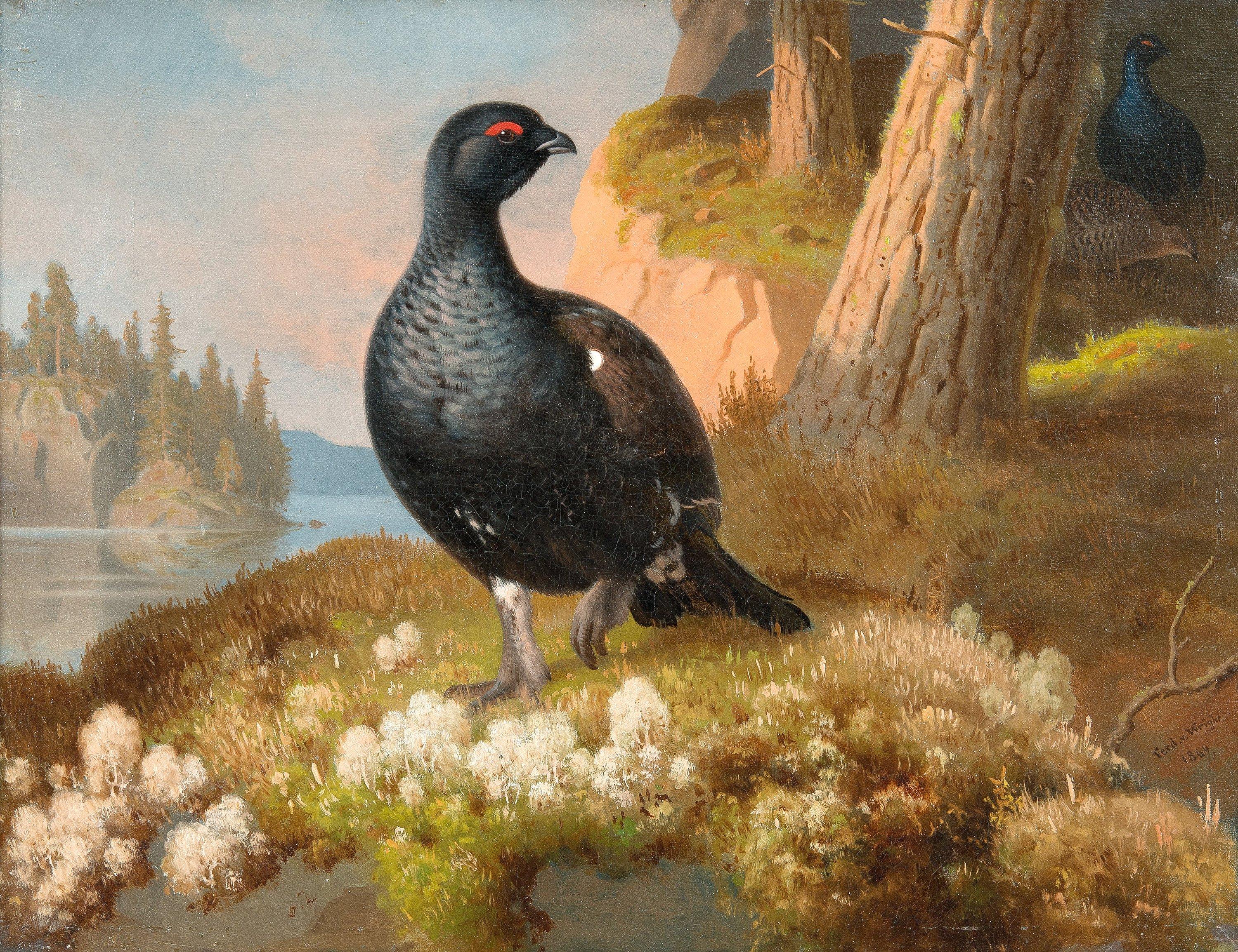 Ferdinand von Wright - Black Grouses.