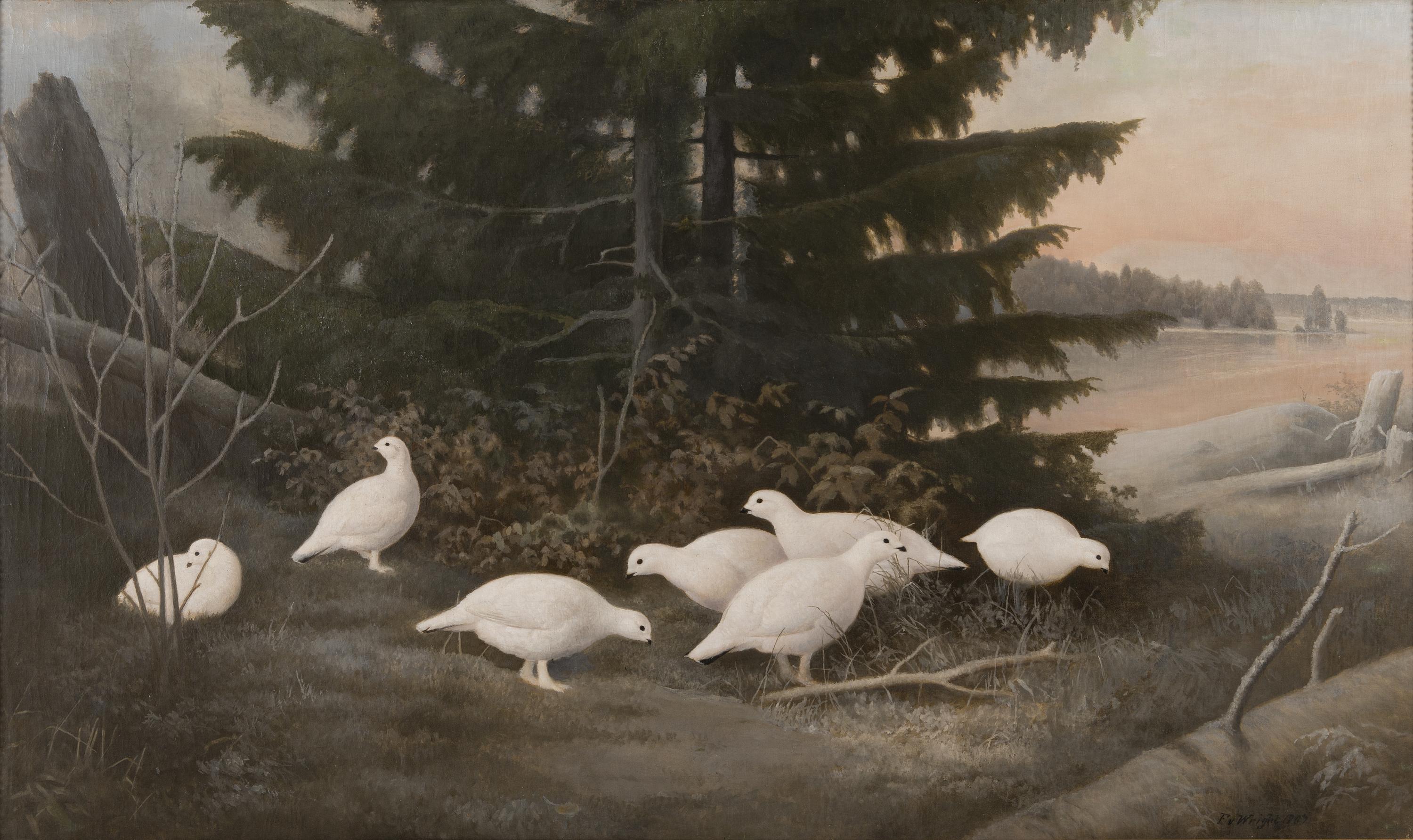 Ferdinand von Wright - Ptarmigans.