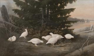 Ferdinand von Wright - Ptarmigans.