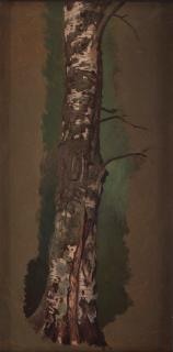 Ferdinand von Wright - Study of a Birch tree; pencilstudies of tree trunks (verso)