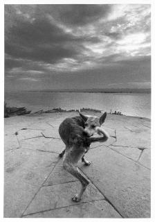 Ferdinando Scianna - Benares, India 1997