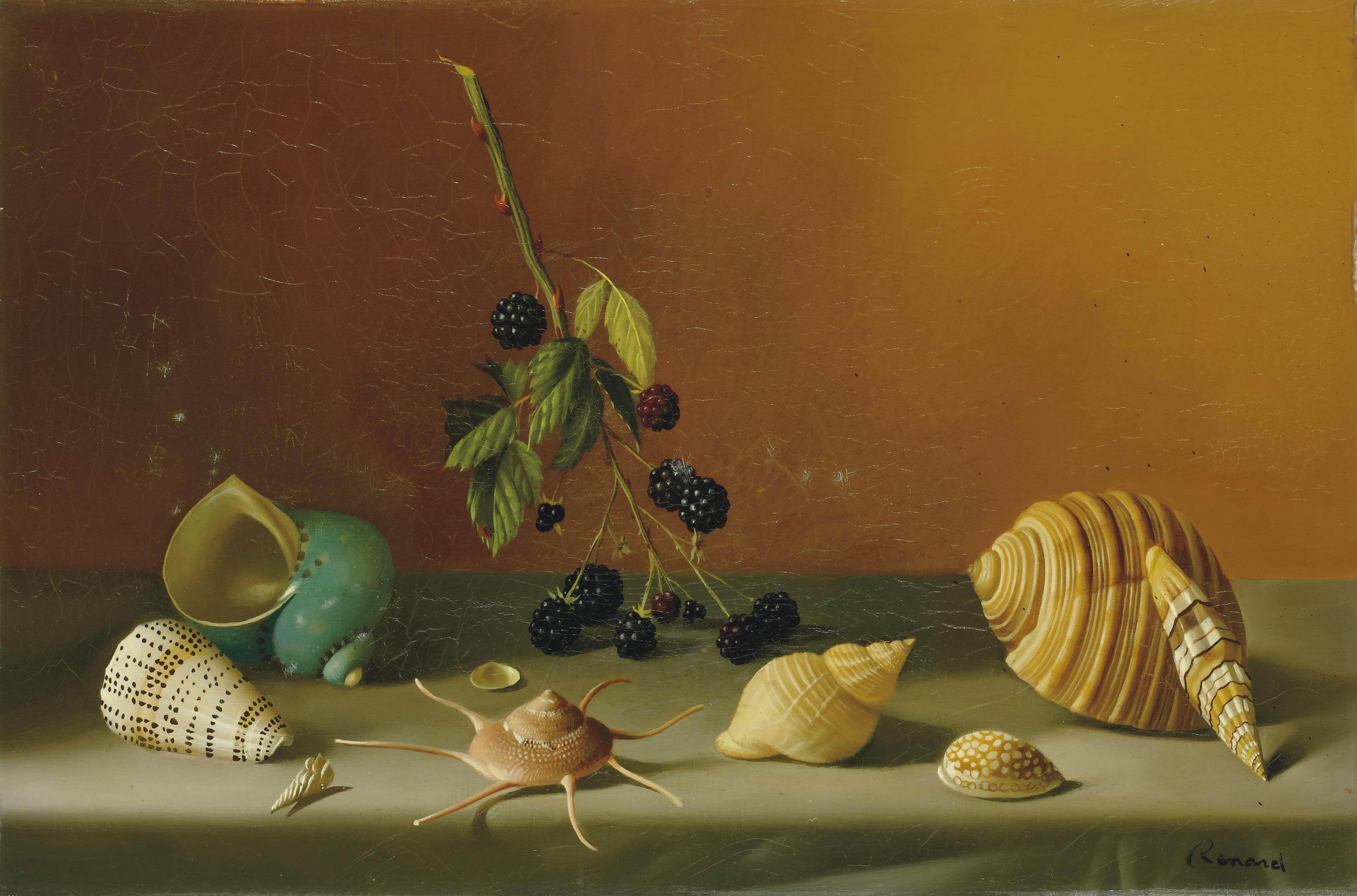 Fernand Renard - Nature Morte Aux Coquillages