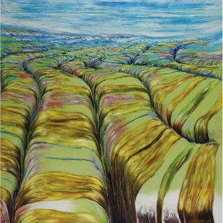 Fernando Canovas - Paisaje Trans...Gredido