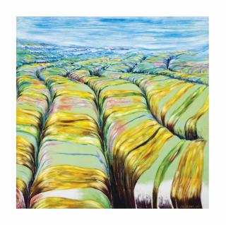 Fernando Canovas - Paisaje trans...gredido