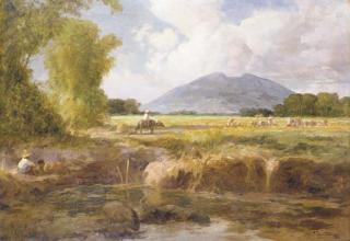 Fernando Cueto Amorsolo - Ricefield