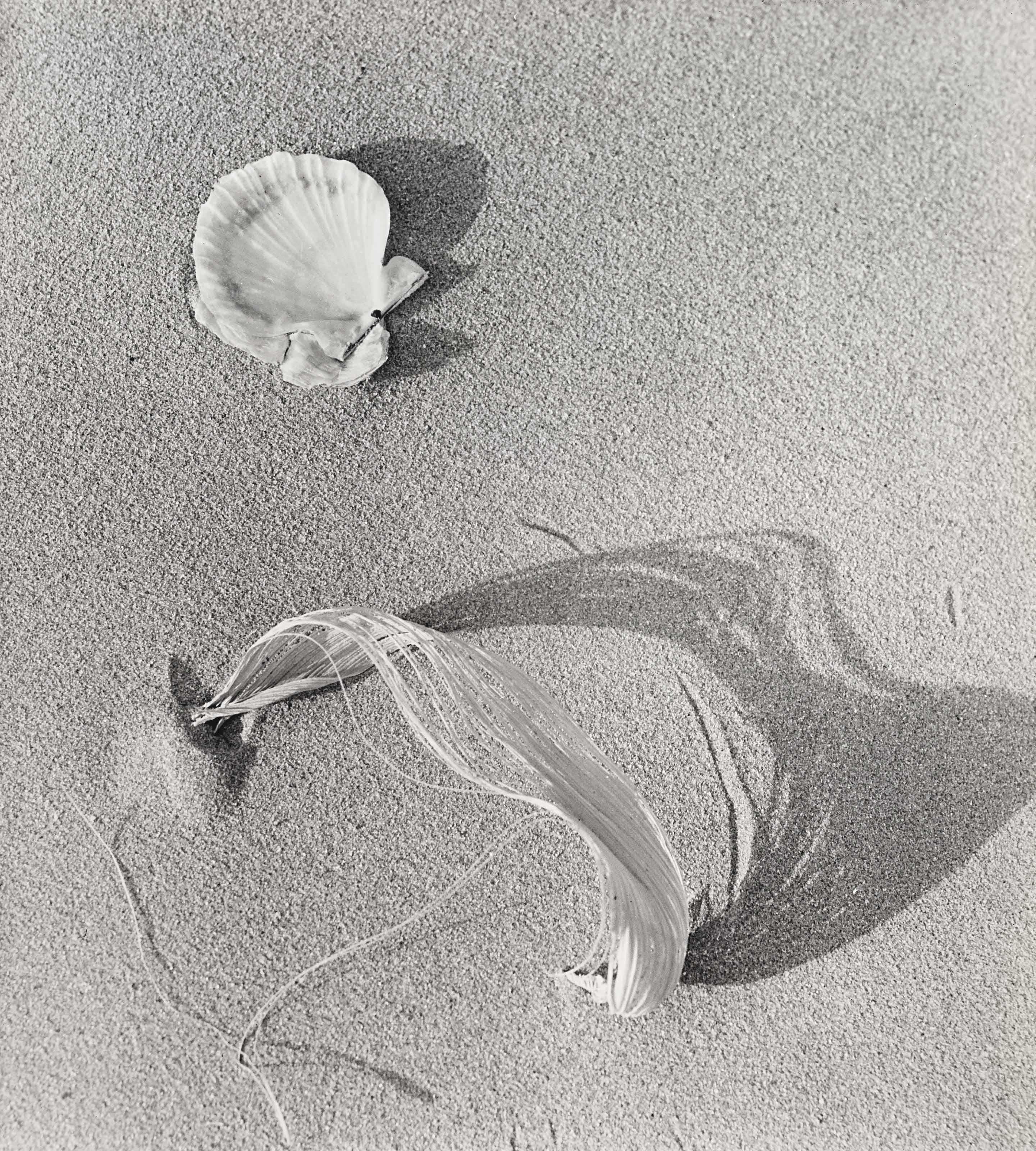 Ferruccio Ferroni - Tramonto (Sunset), 1952