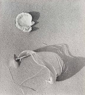 Ferruccio Ferroni - Tramonto (Sunset), 1952