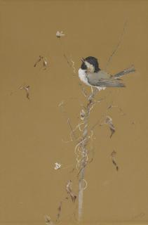 Fidelia Bridges - Chickadee