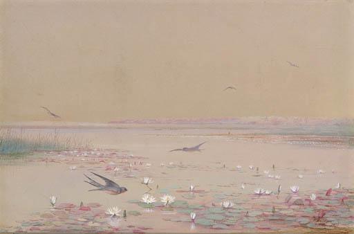 Fidelia Bridges - Lily Pads And Barn Swallows