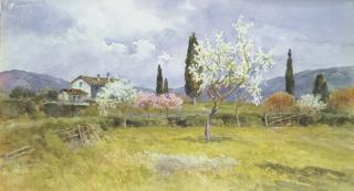 Filippo Anivitti - Primavera nei campi