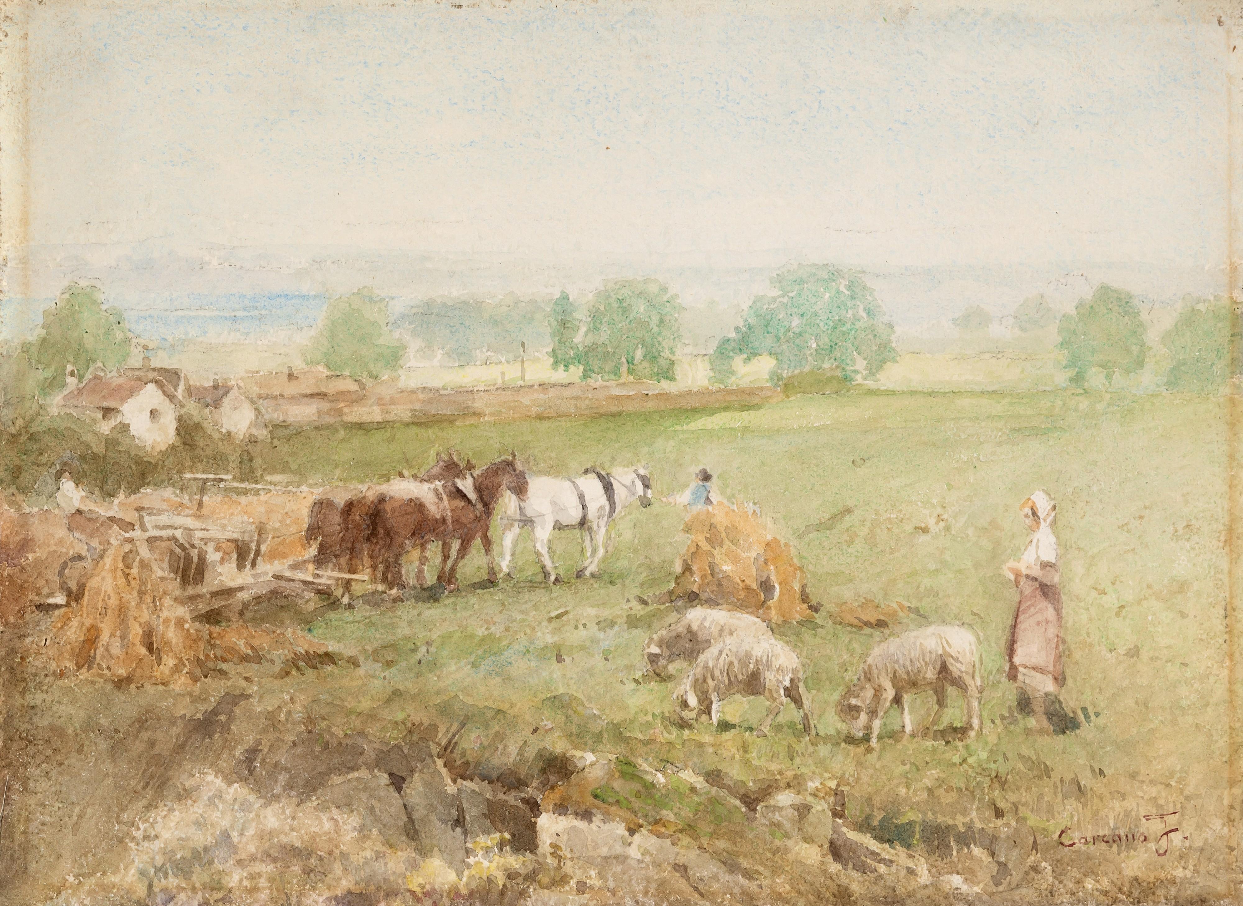 Filippo Carcano - Campagna agreste