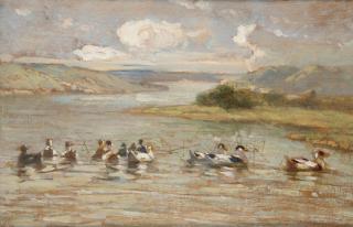 Filippo Carcano - Stagno con anatre