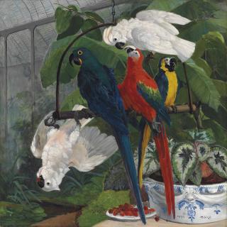 Filippo Palizzi - Parrots in a tropical glasshouse